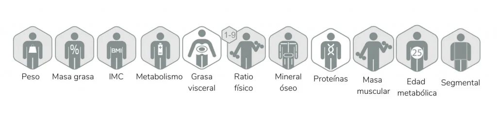 Parámetros de composición corporal que se valoran en consulta